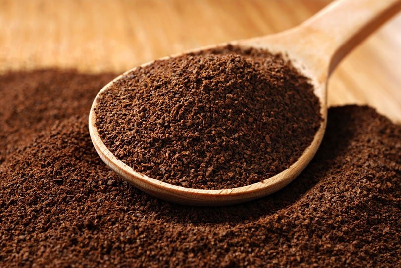 Do Coffee Grounds Attract Rats & Mice? Facts & FAQ