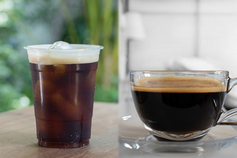 Caffeine in Nitro Cold Brew vs Regular Coffee: A Look at The Differences