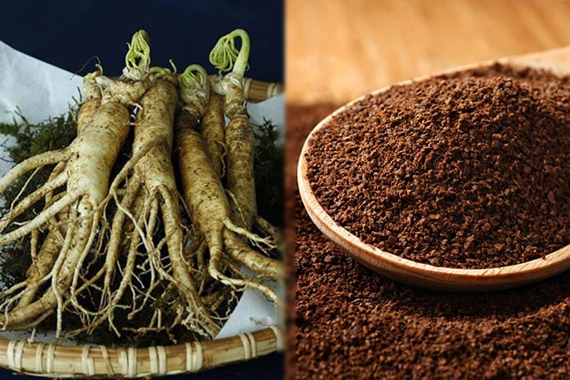 ginseng vs caffeine