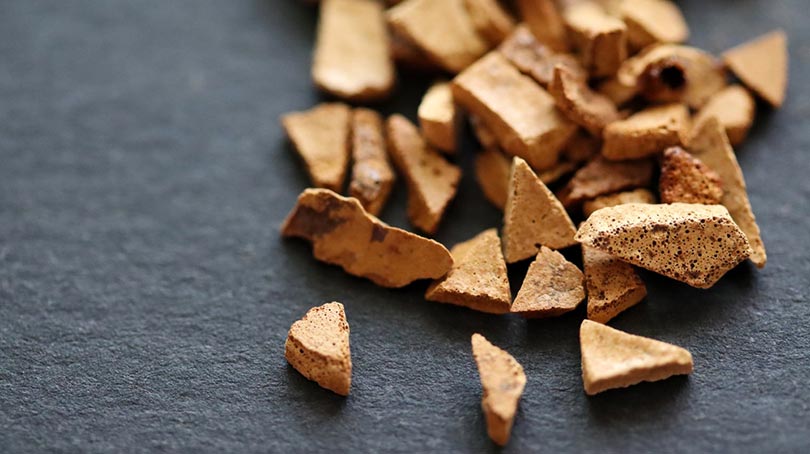 Is Chicory Coffee Good for You? Health Benefits & Side Effects