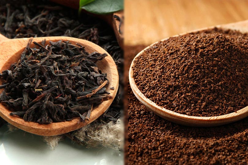 Theacrine vs Caffeine: The Different Effects the Body & Mind