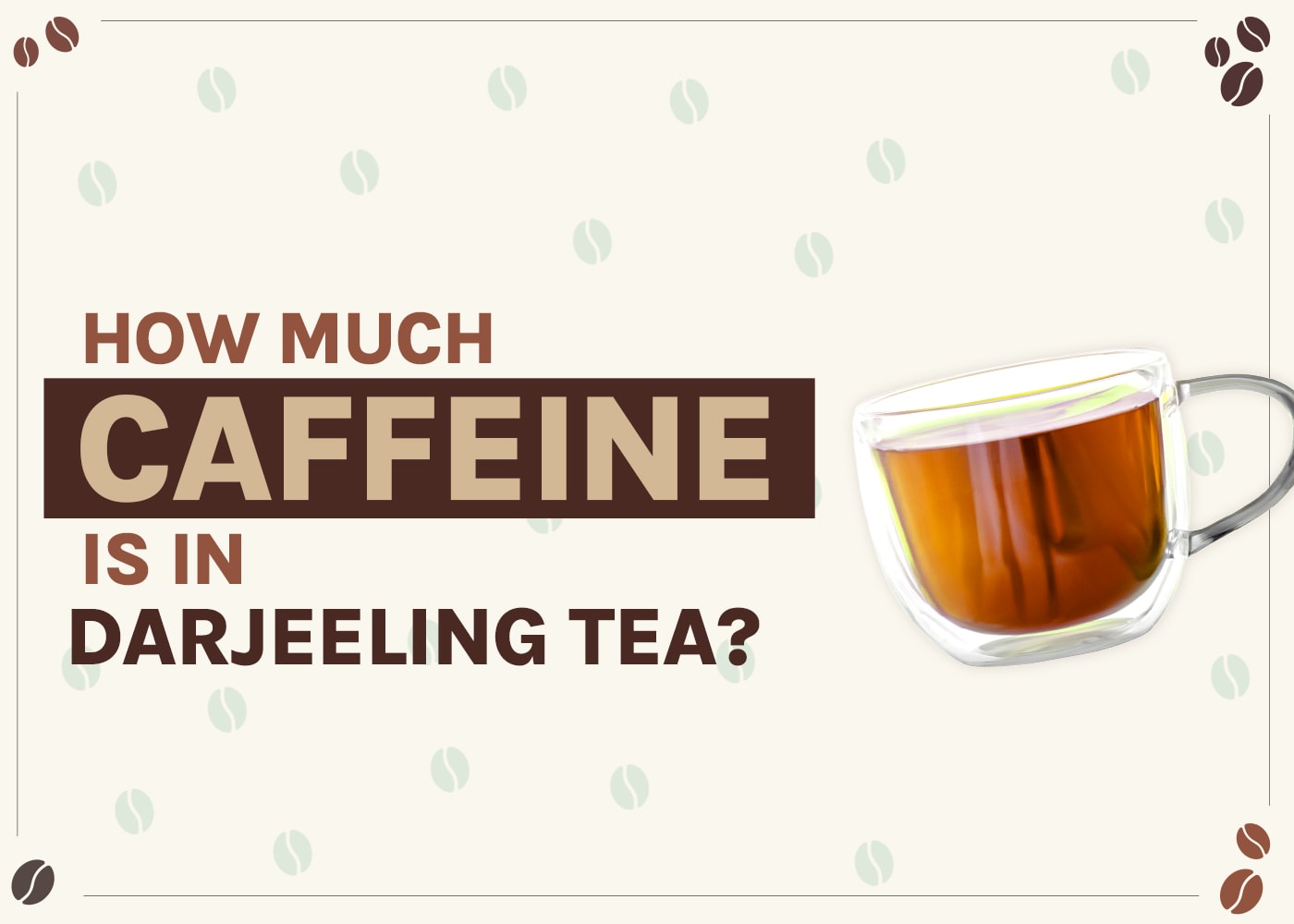 How Much Caffeine Is in Darjeeling? 2026 Breakdown
