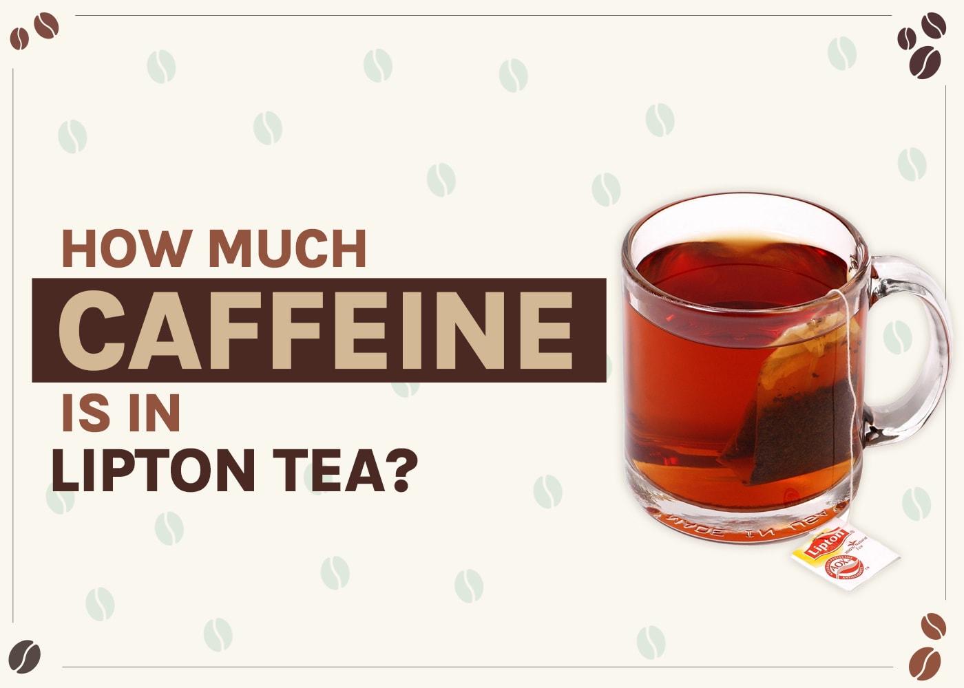 How Much Caffeine Is in Lipton Tea? What to Know!