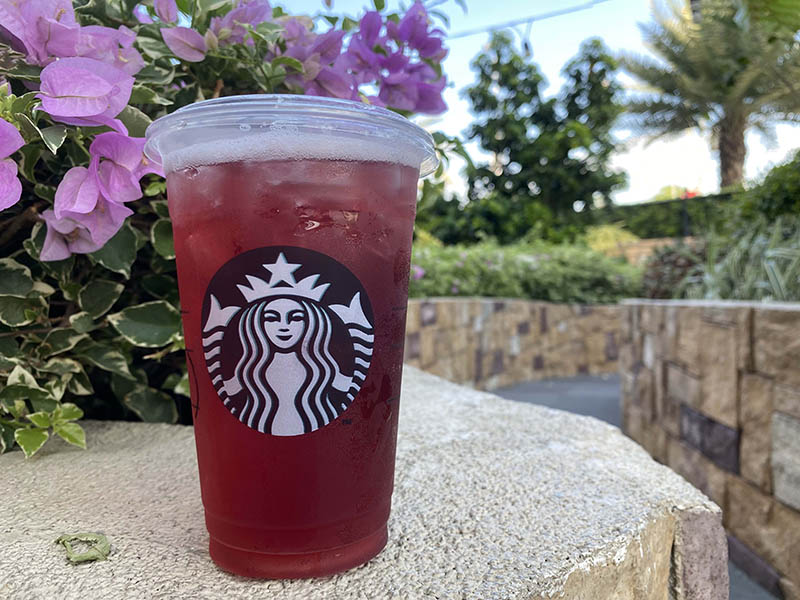 Starbucks Iced Hibiscus Teavana Tea
