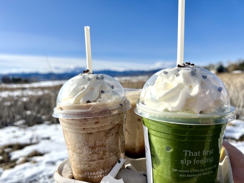15 Best Frappuccinos at Starbucks: Ranked & Reviewed in 2026