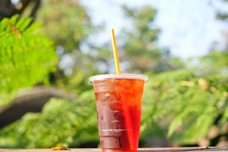 10 Best Teas at Dutch Bros in 2026: Ranked & Reviewed!