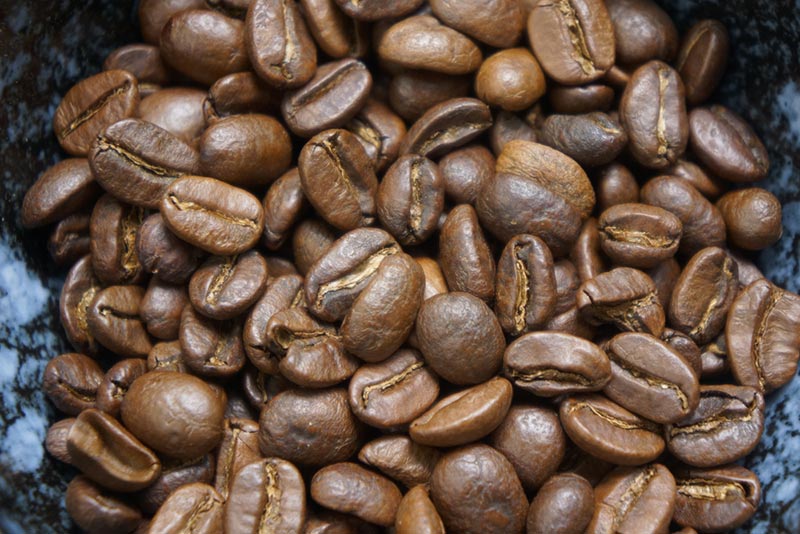 What Is Typica Coffee? The Interesting Answer