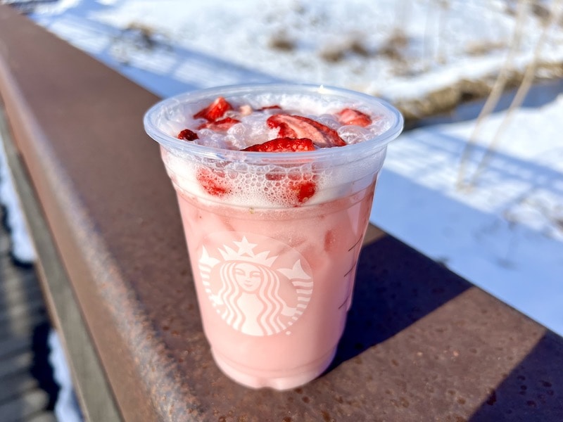 Homemade Starbucks Pink Drink Recipe (Easy & Inexpensive!)