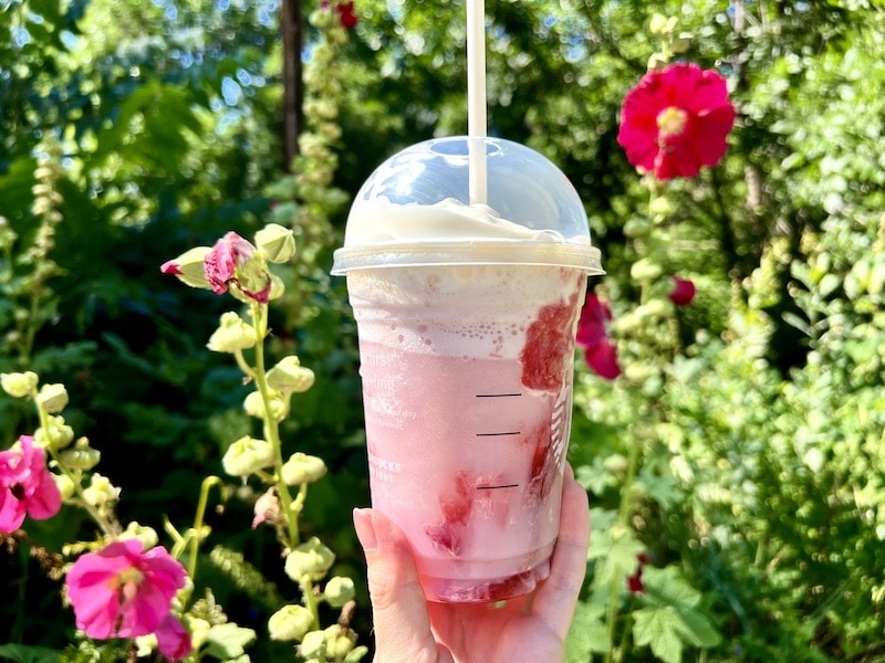10 Best Summer Drinks at Starbucks in 2026: Ranked & Reviewed