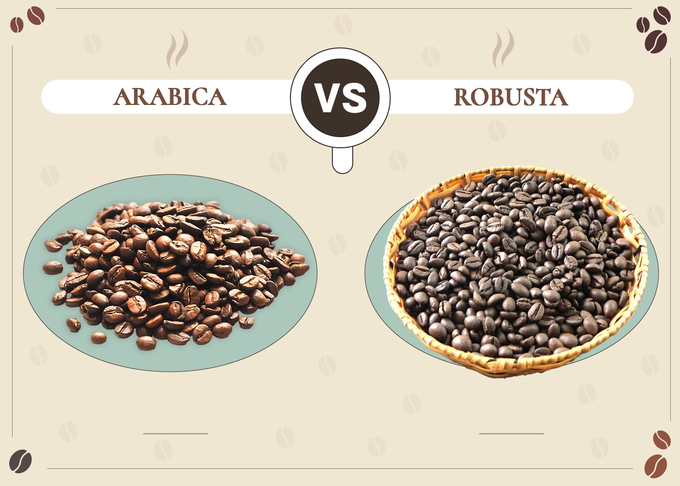 Arabica vs Robusta Coffee Beans: The Differences (With Pictures)