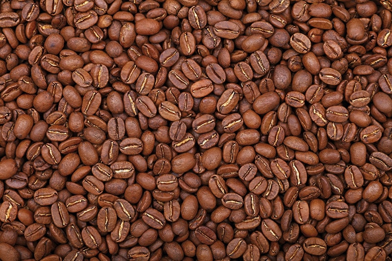 Arabica Coffee Beans: Facts, Flavors & Pictures